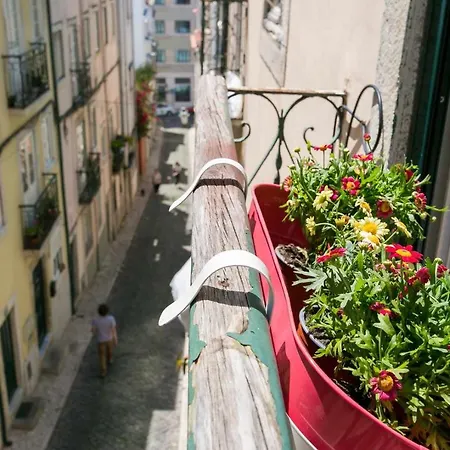 Cozy Center Av Liberdade