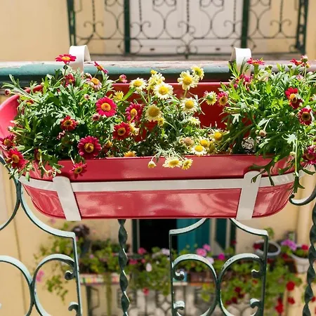 Liberdade-apartamento Confortavel Centro De Apartment