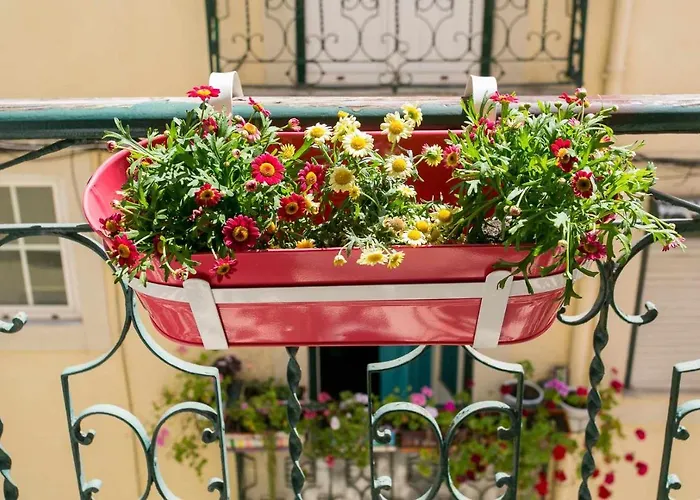 Liberdade-apartamento Confortavel Centro De شقة